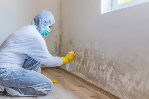 Hvac And Air Duct Mold Remediation inspection of HVAC system in Hudgins